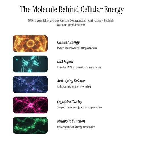 NAD+ Cellular Energy Peptide